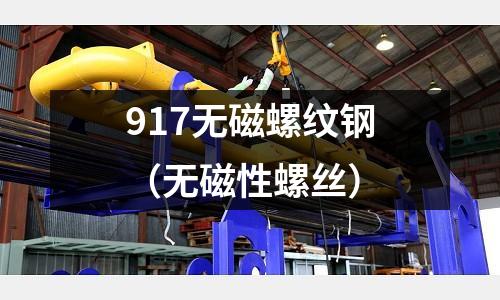 917無磁螺紋鋼(無磁性螺絲)