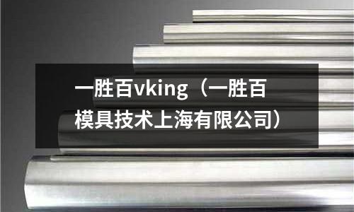 一勝百vking（一勝百模具技術上海有限公司）