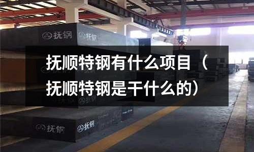 撫順特鋼有什么項目（撫順特鋼是干什么的）