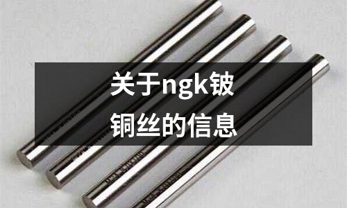 關于ngk鈹銅絲的信息
