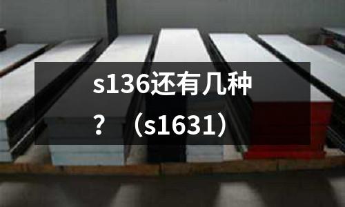 s136還有幾種?(s1631)