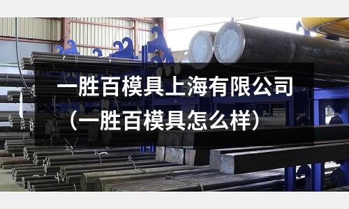 一勝百模具上海有限公司(一勝百模具怎么樣)