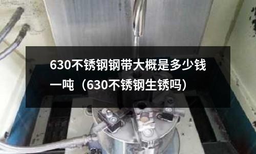 630不銹鋼鋼帶大概是多少錢一噸（630不銹鋼生銹嗎）