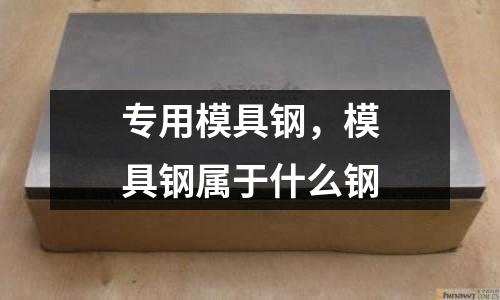 專(zhuān)用模具鋼,模具鋼屬于什么鋼