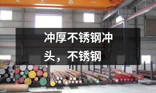 沖厚不銹鋼沖頭,不銹鋼