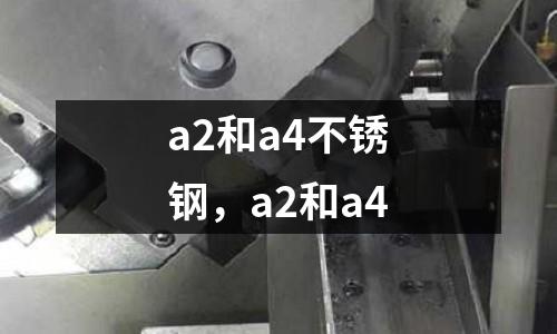 a2和a4不銹鋼，a2和a4