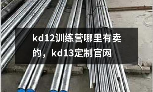 kd12訓(xùn)練營(yíng)哪里有賣的,kd13定制官網(wǎng)