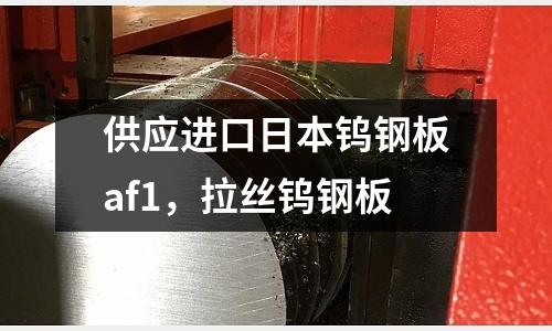 供應(yīng)進(jìn)口日本鎢鋼板af1,拉絲鎢鋼板