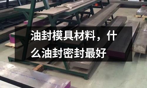 油封模具材料,什么油封密封最好