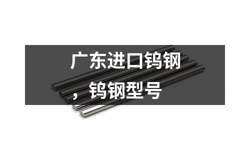 廣東進口鎢鋼，鎢鋼型號