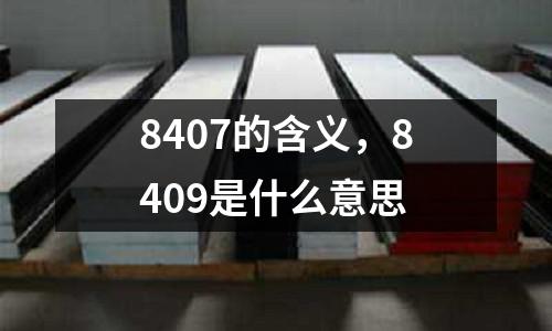 8407的含義,8409是什么意思