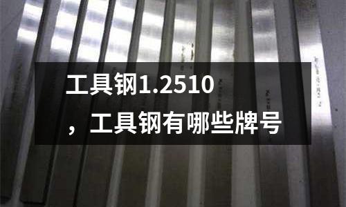 工具鋼1.2510,工具鋼有哪些牌號(hào)