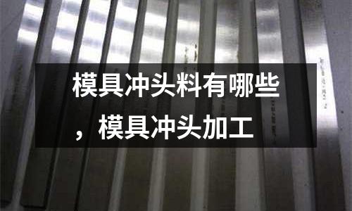 模具沖頭料有哪些,模具沖頭加工