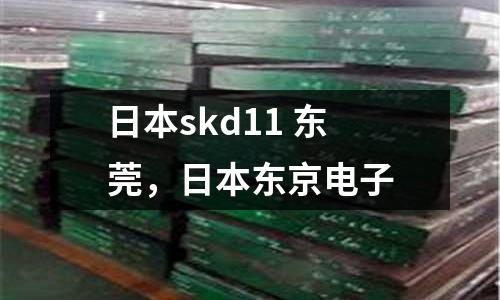日本skd11 東莞，日本東京電子
