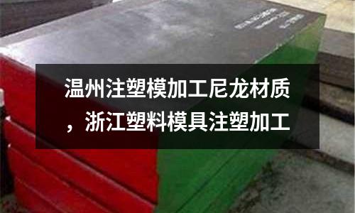 溫州注塑模加工尼龍材質,浙江塑料模具注塑加工