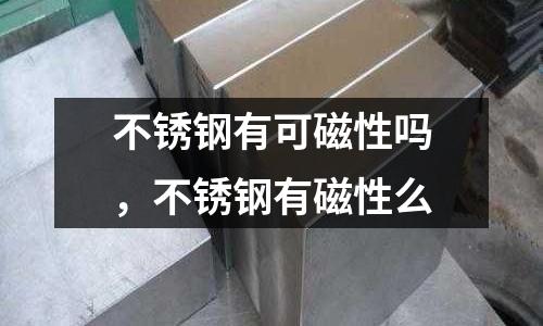 不銹鋼有可磁性嗎,不銹鋼有磁性么