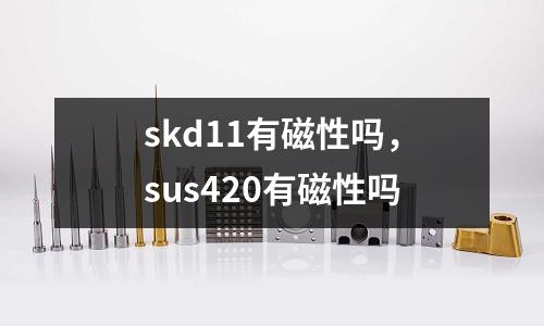 skd11有磁性嗎，sus420有磁性嗎