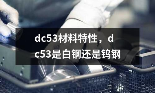 dc53材料特性，dc53是白鋼還是鎢鋼