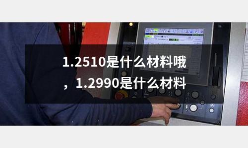 1.2510是什么材料哦，1.2990是什么材料