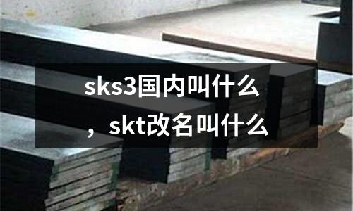 sks3國(guó)內(nèi)叫什么,skt改名叫什么