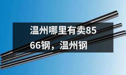 溫州哪里有賣8566鋼,溫州鋼