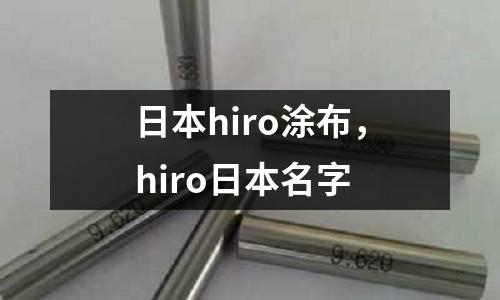 日本hiro涂布，hiro日本名字