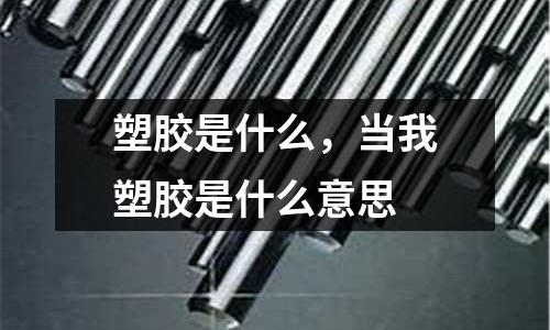 塑膠是什么，當我塑膠是什么意思