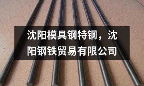 沈陽模具鋼特鋼,沈陽鋼鐵貿易有限公司