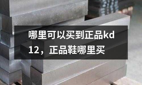 哪里可以買到正品kd12,正品鞋哪里買