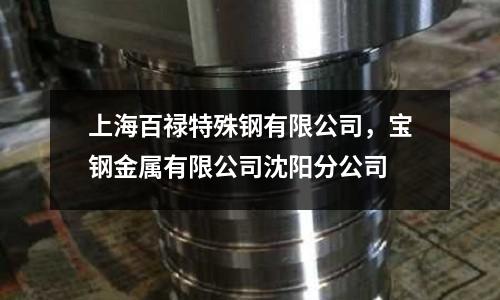 上海百祿特殊鋼有限公司,寶鋼金屬有限公司沈陽分公司