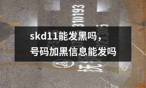 skd11能發(fā)黑嗎，號碼加黑信息能發(fā)嗎