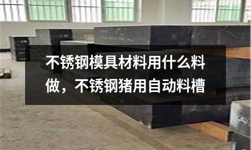 不銹鋼模具材料用什么料做,不銹鋼豬用自動料槽