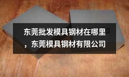 東莞批發(fā)模具鋼材在哪里，東莞模具鋼材有限公司