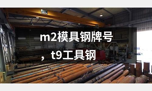 m2模具鋼牌號，t9工具鋼