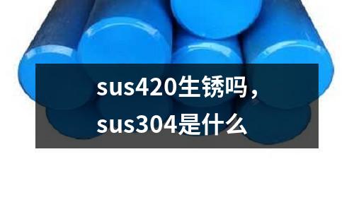 sus420生銹嗎,sus304是什么