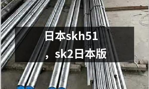 日本skh51,sk2日本版
