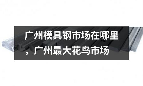 廣州模具鋼市場在哪里,廣州最大花鳥市場