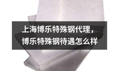 上海博樂特殊鋼代理,博樂特殊鋼待遇怎么樣
