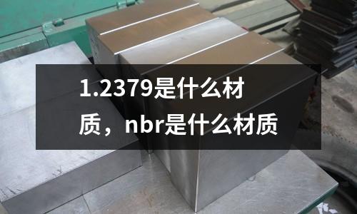 1.2379是什么材質，nbr是什么材質