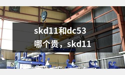 skd11和dc53哪個貴,skd11