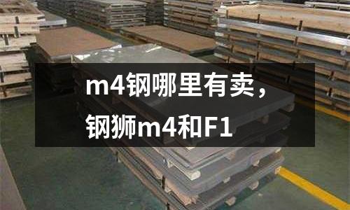 m4鋼哪里有賣，鋼獅m4和F1