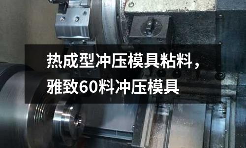 熱成型沖壓模具粘料，雅致60料沖壓模具