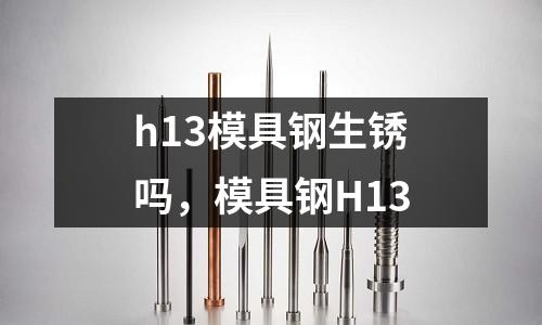 h13模具鋼生銹嗎,模具鋼H13