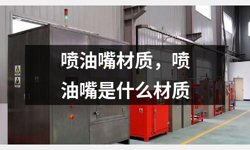 噴油嘴材質,噴油嘴是什么材質