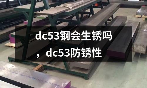 dc53鋼會生銹嗎，dc53防銹性