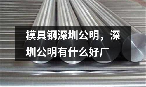 模具鋼深圳公明,深圳公明有什么好廠