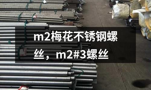 m2梅花不銹鋼螺絲,m2#3螺絲