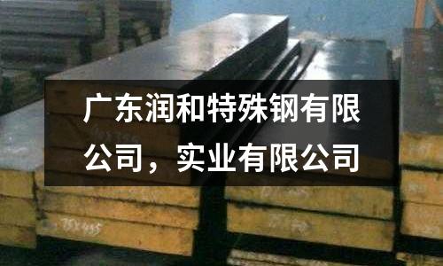 廣東潤和特殊鋼有限公司,實業有限公司