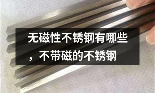 無(wú)磁性不銹鋼有哪些,不帶磁的不銹鋼