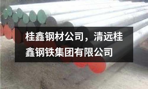 桂鑫鋼材公司，清遠桂鑫鋼鐵集團有限公司